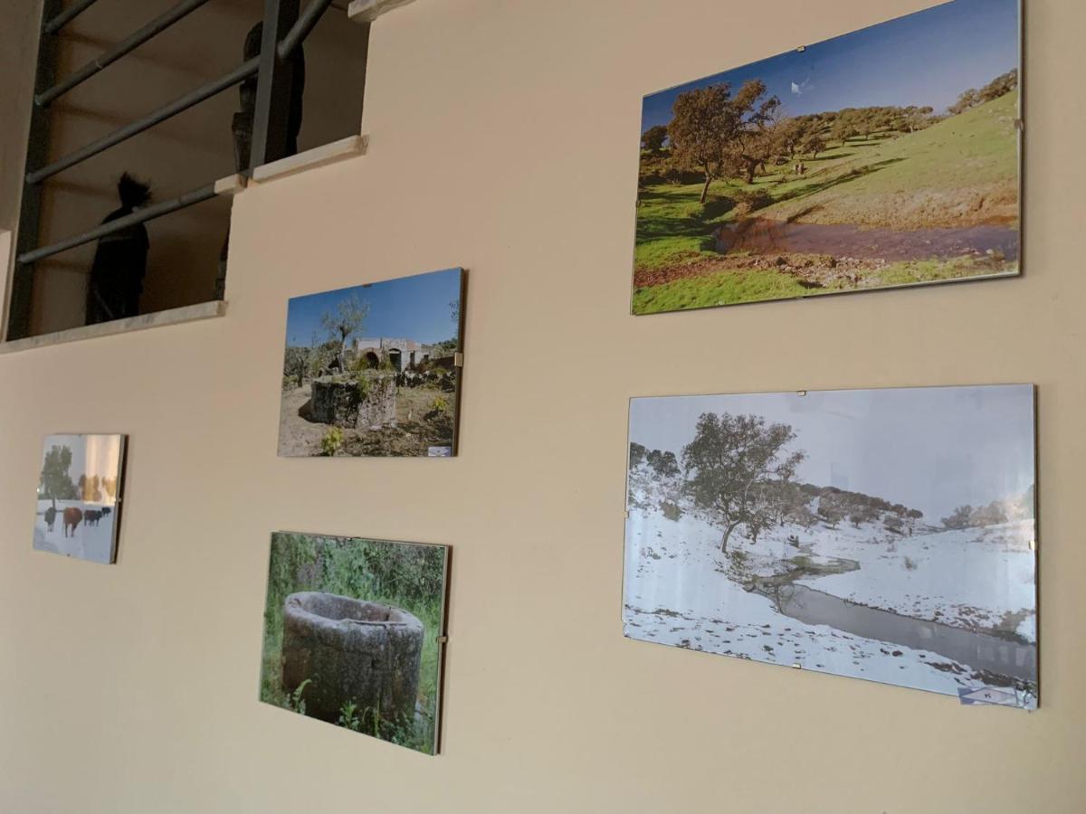 Apartamento Turistico El Esquilon Calzadilla Екстер'єр фото
